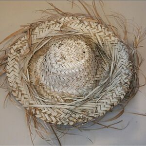 Panama Simply Wild Straw Hat